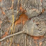 Photo taken by Charis U