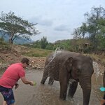 Photo taken by Brandon P