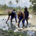 Photo taken by Dixie W