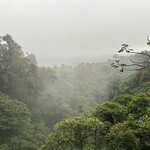 Photo taken by Peter B