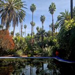 Photo taken by Bianca C