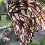 Photo taken by prakash m