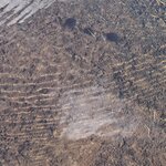 Photo taken by Cheryl W