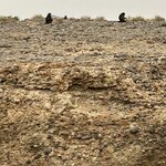 Photo taken by Nigel R