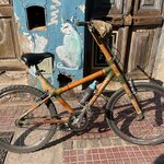 Photo taken by Lara S