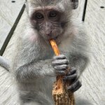 Photo taken by Mariah C