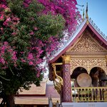 Photo taken by Steve B