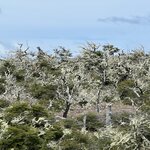 Photo taken by Lisa K