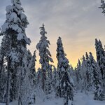 Photo taken by Ellyn V