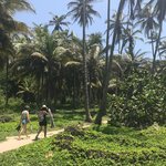 Photo taken by Martha V