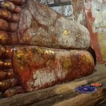 Photo taken by Tanya G