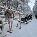 Photo taken by Anna P