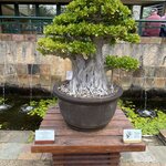 Photo taken by Michael Z