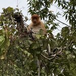 Photo taken by Edit M