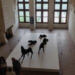 Photo taken by Beatrice G