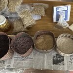 Photo taken by Margaret S