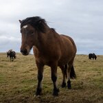 Photo taken by Mark Z