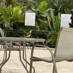 Photo taken by Jaya C