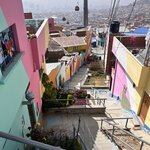 Photo taken by Shirley S