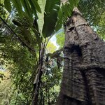 Photo taken by Edit M