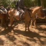 Photo taken by Kim L