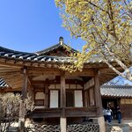 Photo taken by Laura W