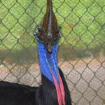 Photo taken by Maria K