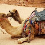 Photo taken by Beata p