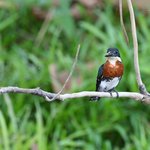 Photo taken by Graeme W