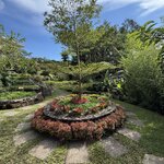 Photo taken by Carrie N