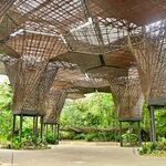 Photo taken by Chaitanya A