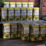 Photo taken by Diane B