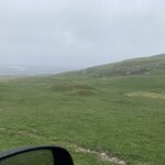 Photo taken by Frank L