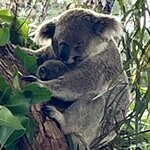 Photo taken by Carol F