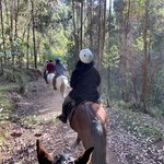 Photo taken by Mike B