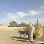 Photo taken by Paula H