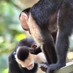 Photo taken by Ben B