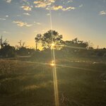 Photo taken by Chris K