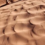 Photo taken by Wendy Q