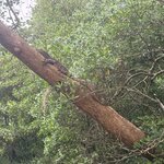 Photo taken by Anisha L