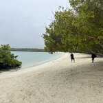 Photo taken by Thomas R