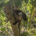 Photo taken by Alison R