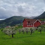 Photo taken by Jen S