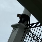 Photo taken by Kelley S