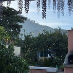 Photo taken by Daniel D