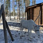 Photo taken by Julie C