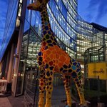 Photo taken by Judy B