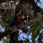 Photo taken by Bert B