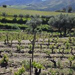 Photo taken by Jon C