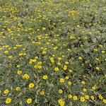 Photo taken by Marcia G